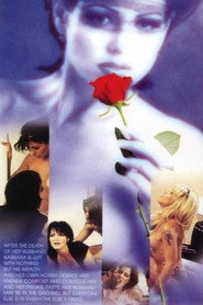 Wild Widow poster
