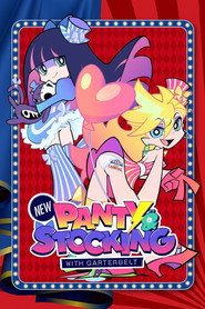 New PANTY & STOCKING with GARTERBELT (2025)
