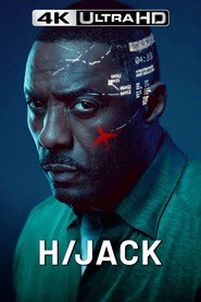 Перехоплений рейс постер