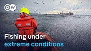 Deep-sea fishing in the Arctic Ocean