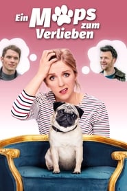 Poster Ein Mops zum Verlieben