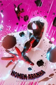 Homem-Aranha: Através do Aranhaverso