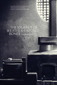 The Journey of Weather-Exposed Bones
