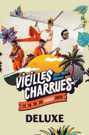 Poster Deluxe en concert aux Vieilles Charrues 2025 