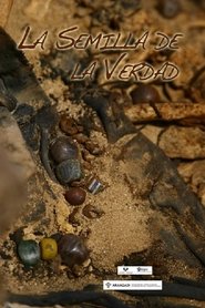 Digging out the truth (2013)