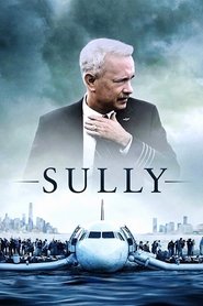 Descargar sully (2016) Pelicula Completa En Español Online Gratis