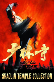 Shaolin Temple - Saga en streaming