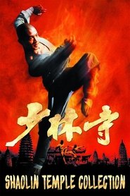 Shaolin Temple - Saga en streaming