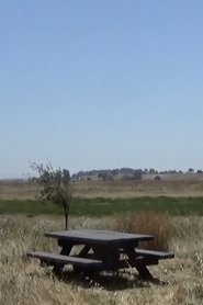 Ballad of a Wannabe Writer (2025)