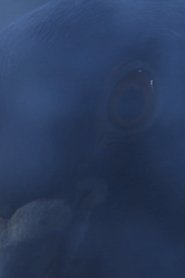 The Visitors (2021)