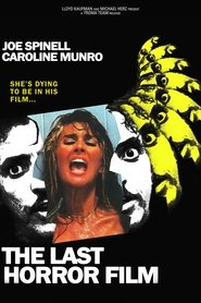 The Last Horror Film постер