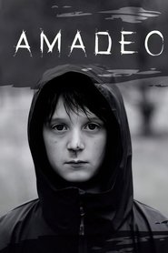 Poster Amadeo 2019