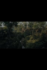 Poster Message of the Forest. Towards 'O Horizon' 2018