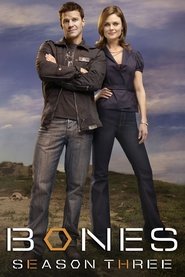 Bones Sezonul 3 Episodul 11 Online