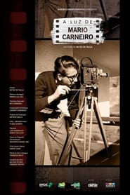 Poster A Luz de Mario Carneiro 2020