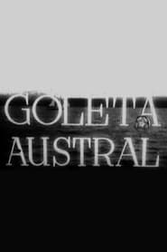 Poster Goleta austral