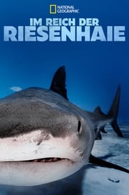 Poster Im Reich der Riesenhaie