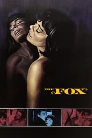 Poster The Fox