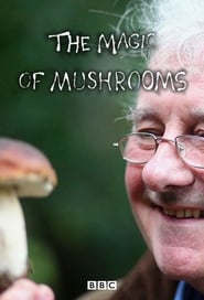 The Magic of Mushrooms постер