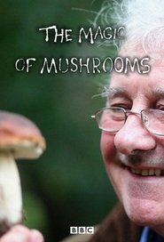 The Magic Of Mushrooms (2014)