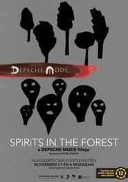 Spirits in the Forest постер