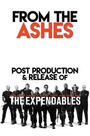 Poster From the Ashes: Post-Production and Release of 'The Expendables' 2010