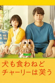 Everything Will Be Owlright! (2022)