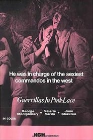 Poster Guerillas in Pink Lace