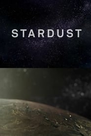 Stardust (2013)
