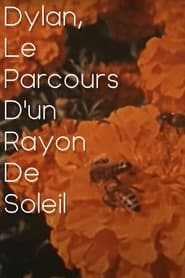 Poster Dylan, le parcours d'un rayon de soleil