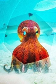 Poster for Series 1