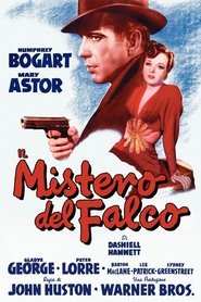 Putlocker-HD Il mistero del falco
CB01 Streaming Ita 【Altadefinizione】