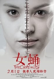 Poster 女蛹