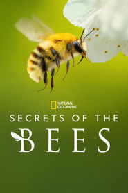 Secrets of the Bees (2026)