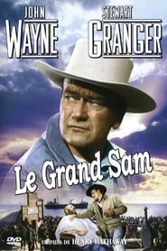 Film Le Grand Sam En Streaming