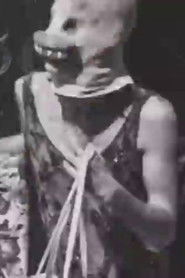 Pissed Off Trannies: Zap 1