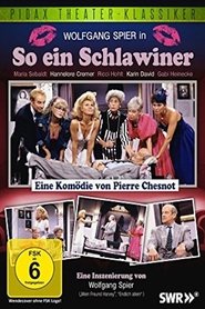 So ein Schlawiner 1990