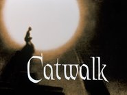 Catwalk