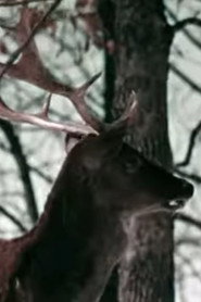 The Christmas Deer