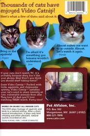 Video Catnip (2002)