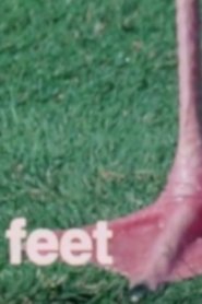 Poster What Are Letters For? 1973
