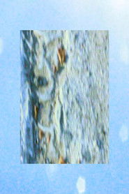 “I just wanted to stare at the clouds but they wouldn’t let me”