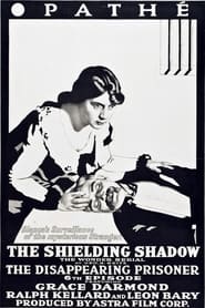Poster The Shielding Shadow