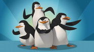 Les pingouins de Madagascar en streaming