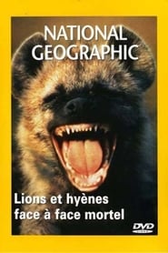 Poster National Geographic : Lions et Hyènes, face à face mortel 2003