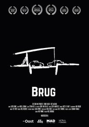 Poster Brug 2017