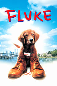 Poster for Fluke