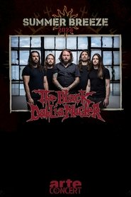 The Black Dahlia Murder - Summer Breeze 2024 (2024)