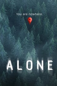 Alone постер