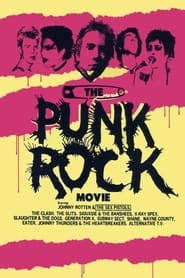 The Punk Rock Movie постер